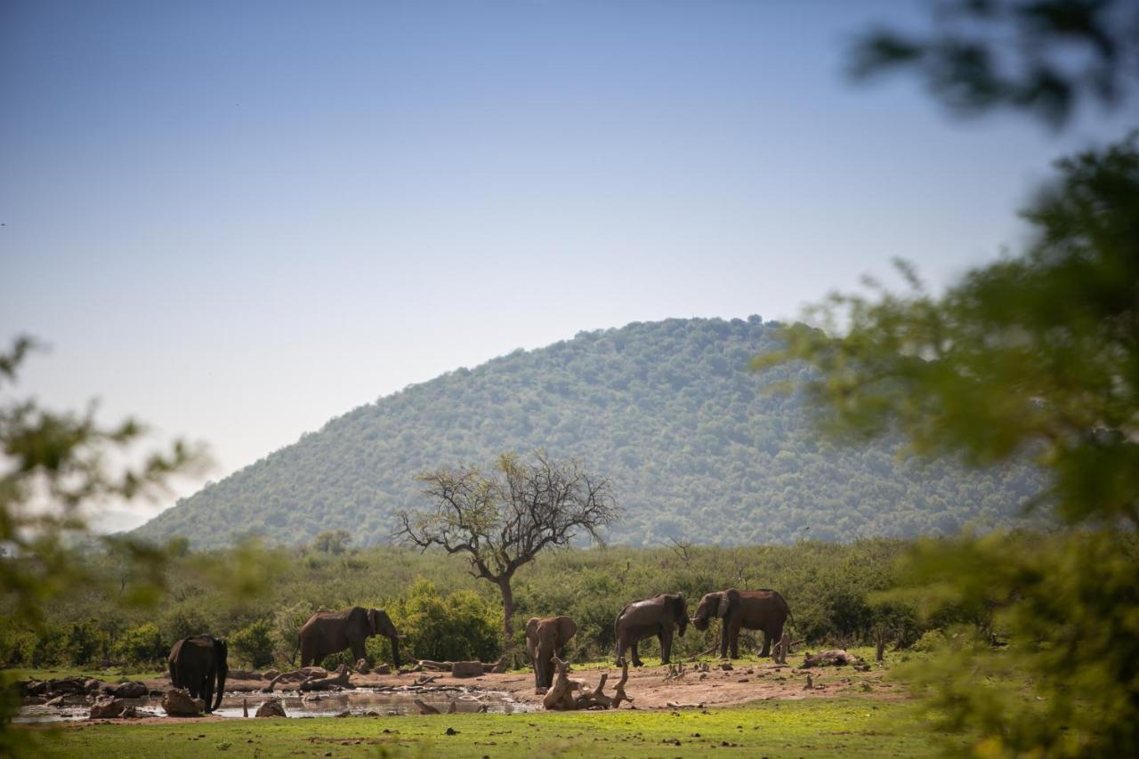 Jamala Madikwe Villa Madikwe viltreservat Exteriör bild